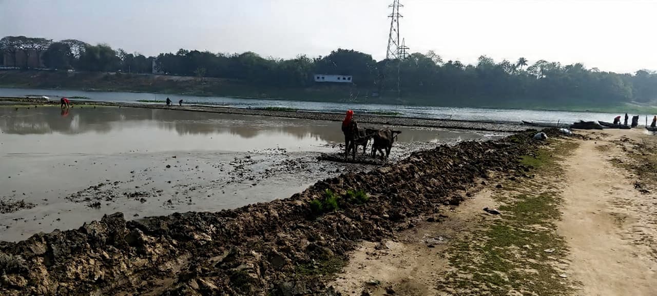 How does farming look in your part of the world?